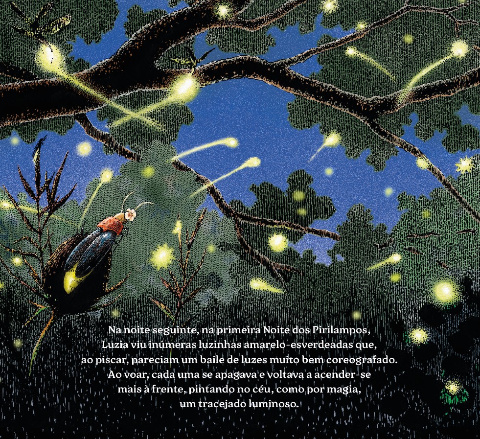Ilustração de pirilampos a brilhar na noite, retirada do «Baile de luzes».