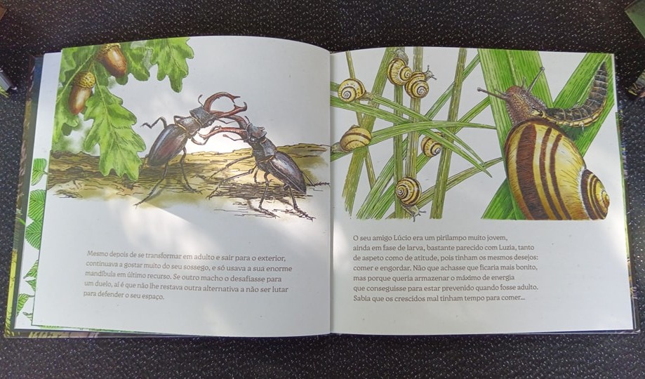 Exemplar do «Baile de luzes» no stand do Espaço Livro na Feira do Livro do Porto.