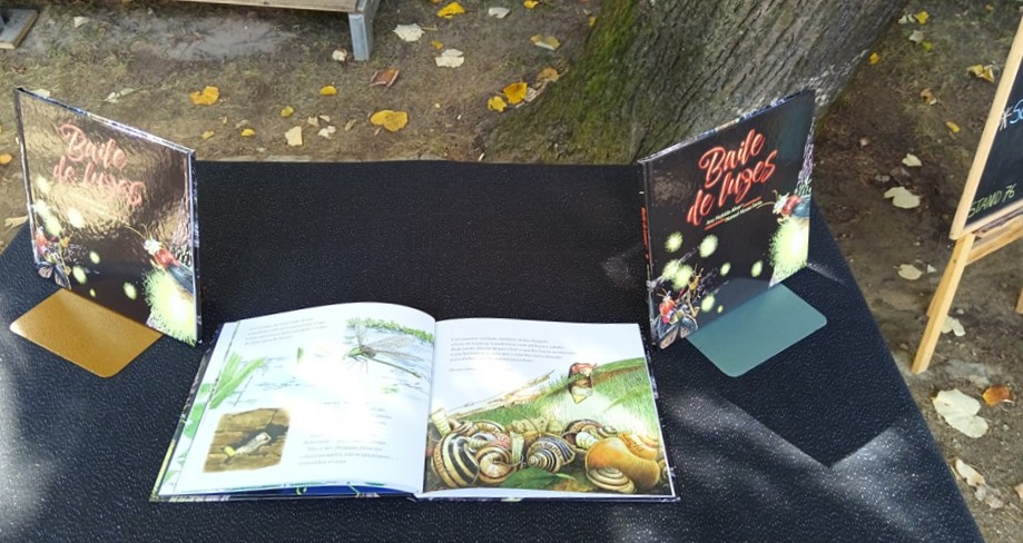 Sessão de autógrafos do «Baile de luzes» na Feira do Livro do Porto.