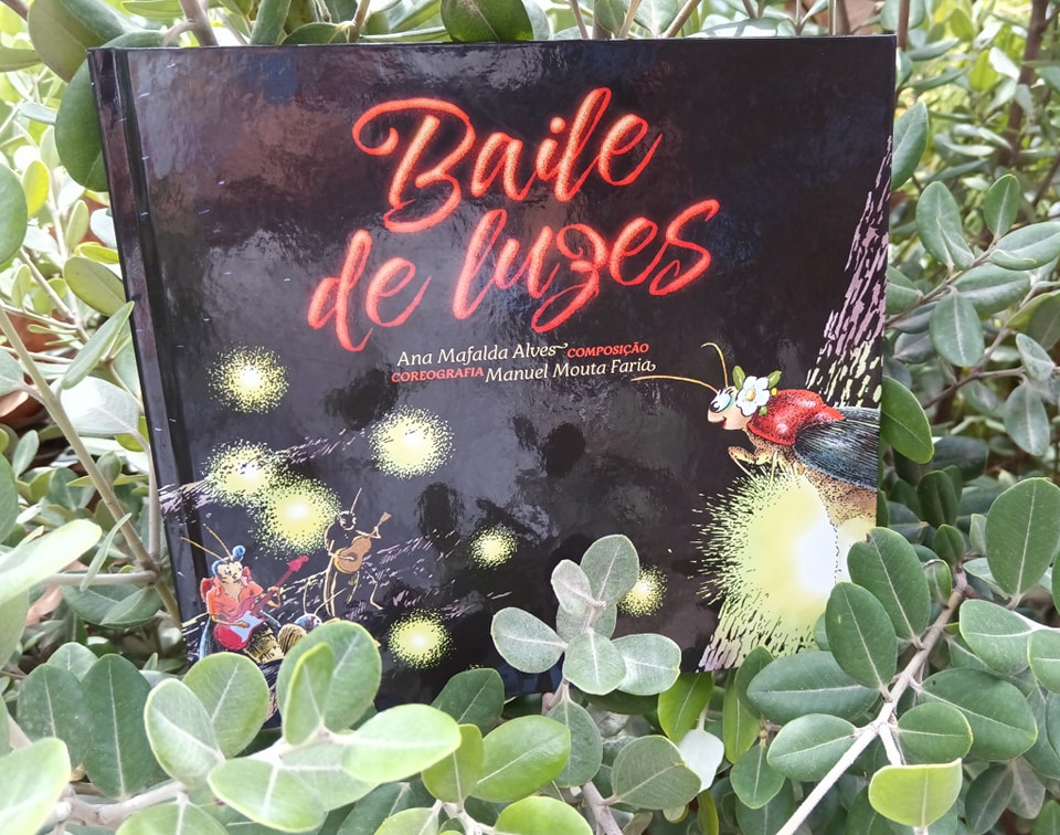 Exemplar do «Baile de luzes» entre folhas verdes.